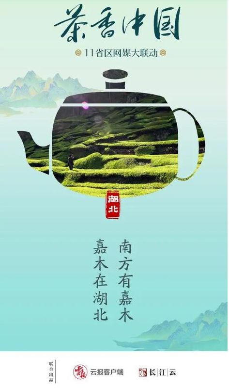 茶香中国·11省区网媒大联动·南方有嘉木（一） 